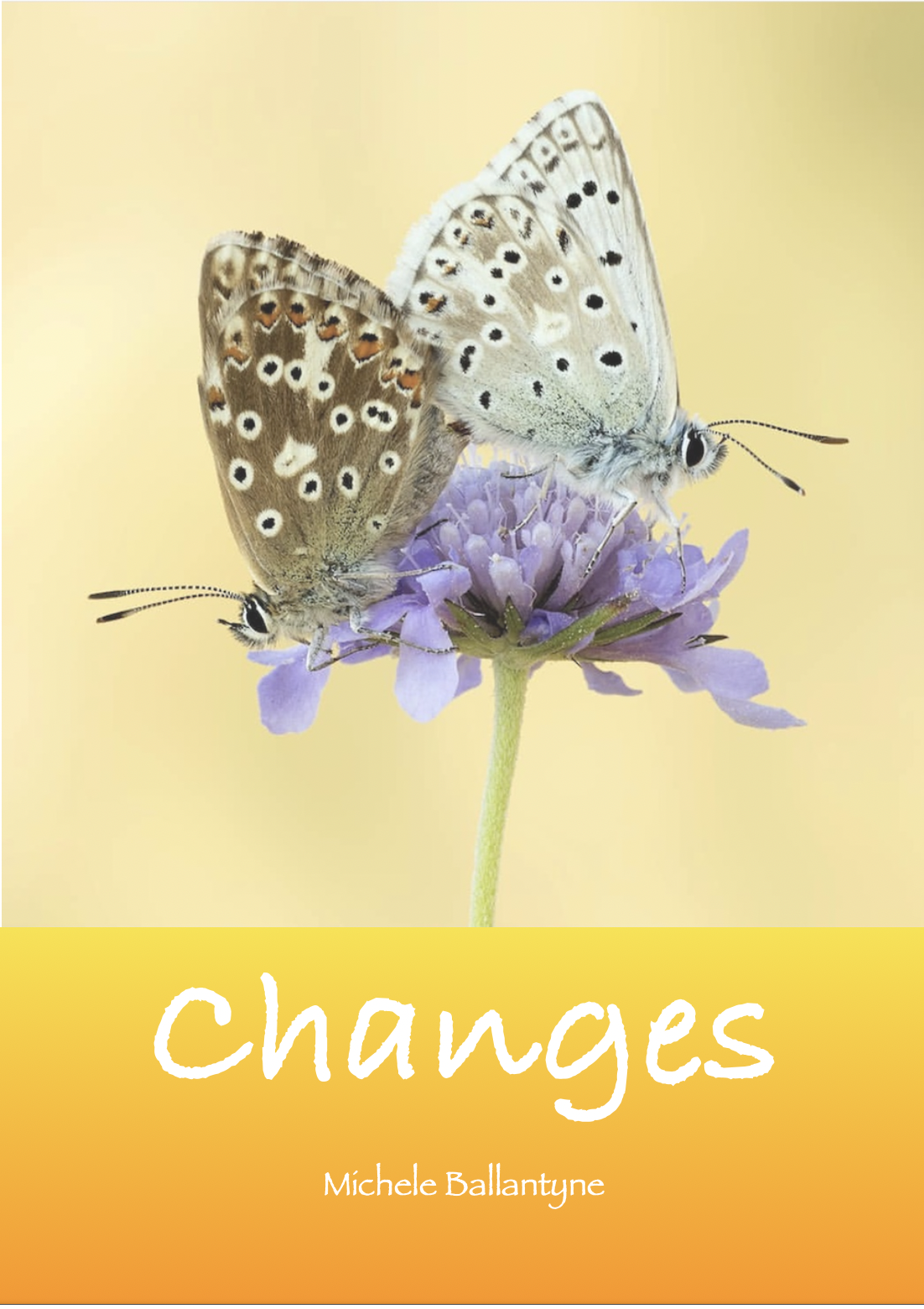 Snippet from my new book “Changes”!