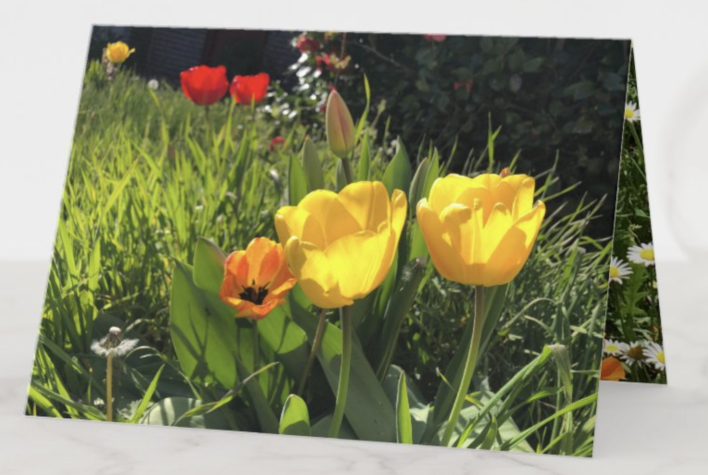 Spring Greeting Card